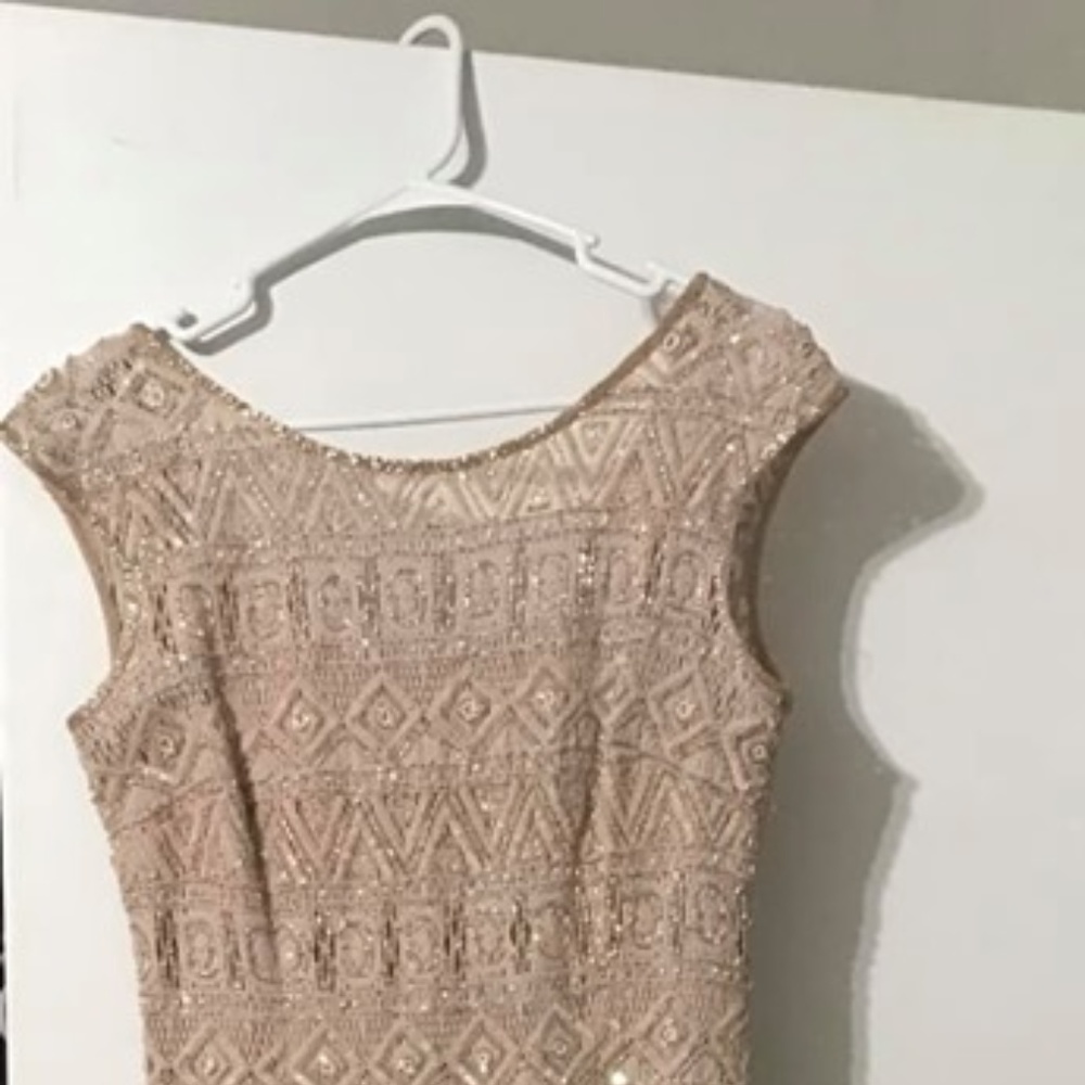 Adrianna Papell Long Dress